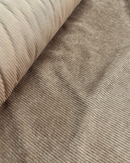 VELLUTO A COSTINE - 15 COLORI