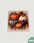 PANNELLO VELLUTO DOPPIATO - 2596 AUTUNNO