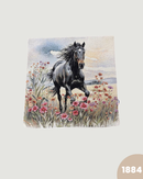 FEDERA FANTASIA - 1884 CAVALLO