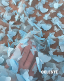 TULLE 3D - FARFALLE