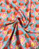 PIZZO SANGALLO FRAGOLE