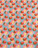 PIZZO SANGALLO FRAGOLE