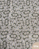 COTONE ARREDAMENTO - 1774 MARGHERITE FOGLIE VERDI