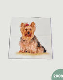 PANNELLO TESSUTO INDEFORMABILE - 2009 CANE
