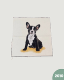 PANNELLO TESSUTO INDEFORMABILE - 2010 CANE