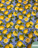 COTONE ARREDAMENTO - 2006 LIMONI