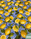 COTONE ARREDAMENTO - 2006 LIMONI
