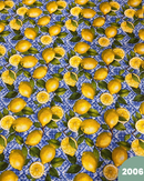COTONE ARREDAMENTO - 2006 LIMONI