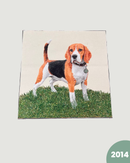 PANNELLO TESSUTO INDEFORMABILE - 2014 CANE