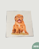 PANNELLO TESSUTO INDEFORMABILE - 2015 CANE