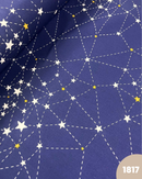 COTONE 100% - 1817 STELLE FONDO BLU