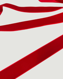 NASTRO DI VELLUTO H 2,50CM - 5 COLORI