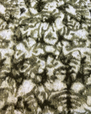 CAPPOTTO MALTINTO VERDE