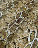 ECOPELLE ANIMALIER - PITONATO MARRONE 3D