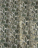 ECOPELLE ANIMALIER - PITONATO VERDE 3D