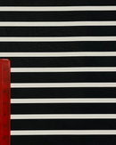 ECOPELLE LISCIA FONDO NERO RIGA BIANCA 4MM