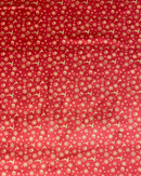 VELLUTO STAMPATO - FONDO ROSSO RENNA ORO