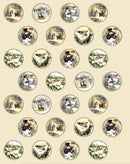 PANNELLO NATALIZIO - PALLINA PUPAZZO DI NEVE INNEVATO