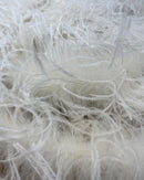 BOA DI STRUZZO - CERTIFICATO