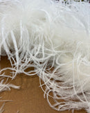 BOA DI STRUZZO - CERTIFICATO