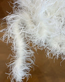 BOA DI STRUZZO - CERTIFICATO