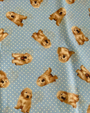 COTONE ARREDAMENTO - 526 CANE FONDO POIS CELESTE