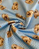 COTONE ARREDAMENTO - 526 CANE FONDO POIS CELESTE