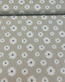 PANAMA - 531 MARGHERITA DETTAGLIO POLVERE