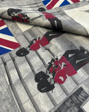 COTONE ARREDAMENTO - 540 LONDRA GUARDIA INGLESE