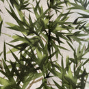 COTONE ARREDAMENTO - 062 FOGLIE DRACAENA