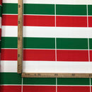 MON-044 BANDIERA ITALIA