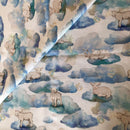 COTONE ARREDAMENTO - PECORELLA NUVOLETTA CELESTE 256