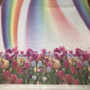 PIZZO SANGALLO SG-17 TULIPANI E ARCOBALENO