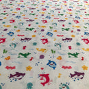 POL-009 SQUALO COLORATO