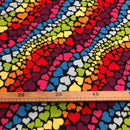 POL-067 CUORI ARCOBALENO